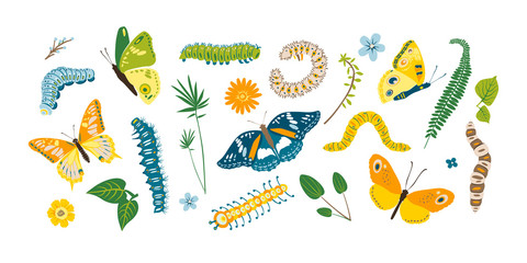 Set spring and summer colorful butterflies and caterpillar. Different cute silhouettes on white background. For festive card, logo, children, pattern, tattoo, decorative, concept. Vector illustration