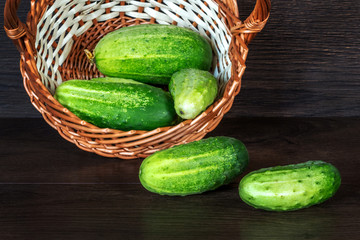 Green ripe cucumbers in a basket and on a dark wooden table_