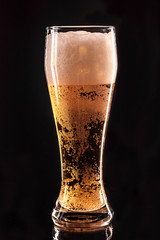 Glass beer on wood background with copy space