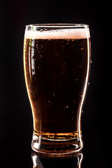Glass beer on wood background with copy space