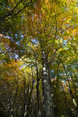 Autumn in Samoborsko gorje, Croatia