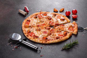 Tasty sliced pizza with seafood and tomato on a concrete background