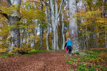 Fototapeta premium Hiking in autumn in Samoborsko gorje, Croatia