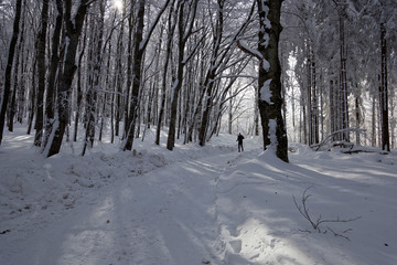 Winter at the mountains of Samoborsko gorje, Croatia