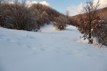 Fototapeta na wymiar Winter at the mountains of Samoborsko gorje, Croatia