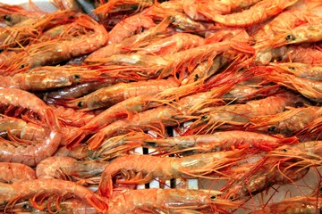 Stall with shrimps in fish market in Athens, Greece