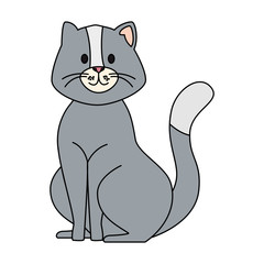 cute little cat animal icon vector illustration design