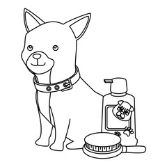 cute dog with bottle for care and brush line style icon vector illustration design