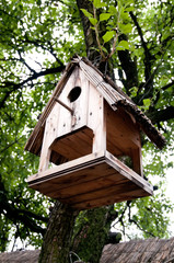 wooden birdhouse on a tree