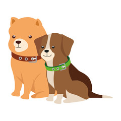 cute dogs animals isolated icon vector illustration design