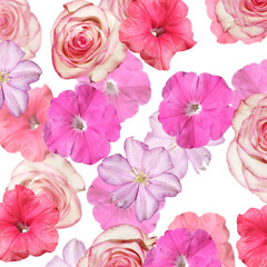 Beautiful floral background of clematis, roses and petunias. Isolated