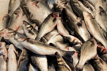 Stall with sea breams at fish market in Athens, Greece