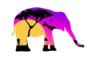 Elefant silhouette. Africa savanna landscape