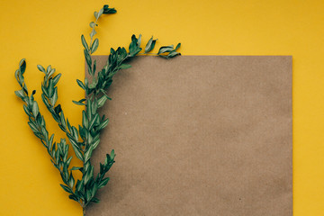 greeting card with green branches dried flowers on yellow brown background copy space