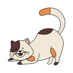 cute little cat animal icon vector illustration design