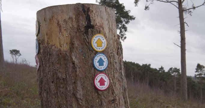 UK Birmingham Lickey Hills, Nature walk trail route sign attached to chopped down tree