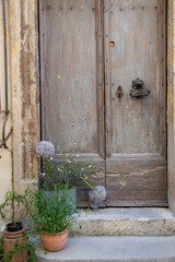 A beautiful door step plant display found in a small village in Provence, France