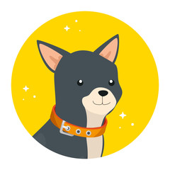 face of cute dog in frame circular vector illustration design