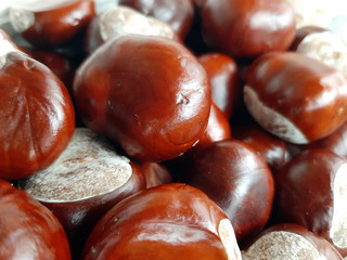 chestnuts on black background