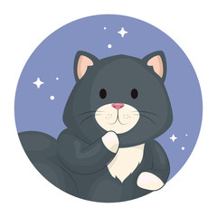 face of cute cat in frame circular vector illustration design