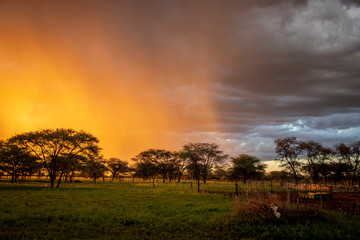 A fiery Namibian sunset