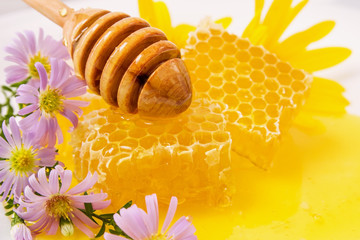 Honey honey comb in liquid honey with flowers and a wooden spoon in the sunlight