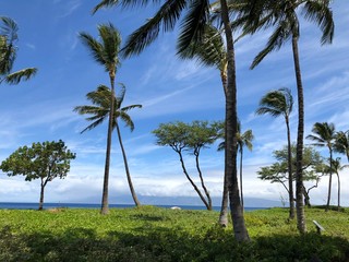 Obraz premium Hawaii 2