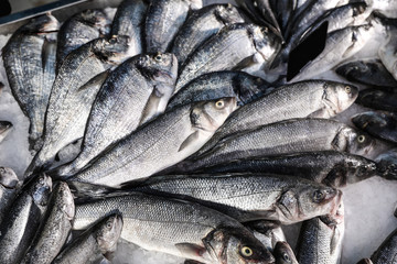 Different types fresh fish on ice in supermarket, above view