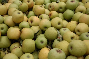 Green Apples