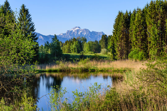 Herrliche Natur am ostallg&auml;uer Alpenrand im Fr&uuml;hling
