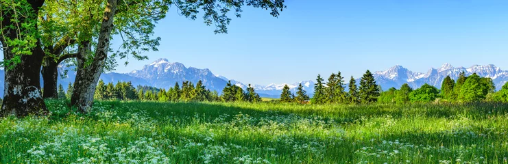 Acrylglasbilder Herrliche Natur am ostallgäuer Alpenrand im Frühling © ARochau