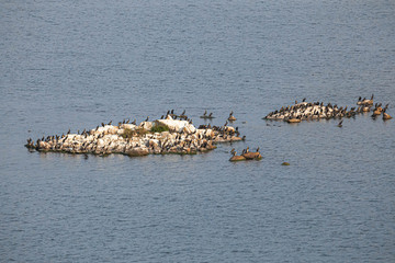 Bird Islands. Sweden sea coast landscape. Stylized photos with added noise
