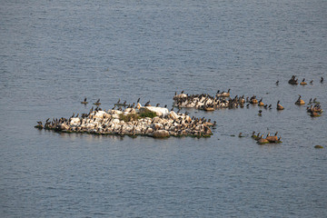 Bird Islands. Sweden sea coast landscape. Stylized photos with added noise