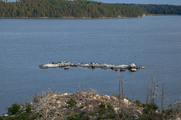 Bird Islands. Sweden sea coast landscape. Stylized photos with added noise