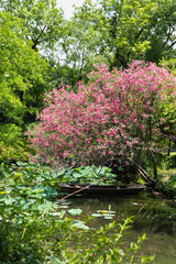 Obraz premium Wooden boat in a pond in Humble Administrator's Garden, Suzhou, China
