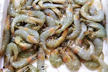 Stall with shrimps in fish market in Athens, Greece