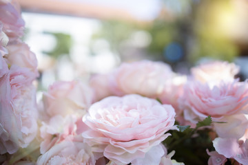 Pink flowers decorated in weddings, landscaping for ceremonies