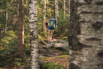 hiking backpacker male person in rocky forest route trail scenic view environment with birch trees black and white bark unfocused nature frame foreground