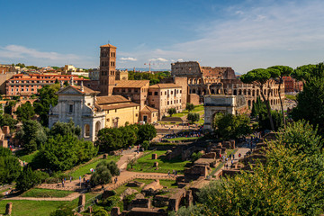 Fototapeta na wymiar Panoramic view of the ancient ruins of Forum Romanum from the hill of Palatino at a summer day near Collosseum in the city of Rome, Italy