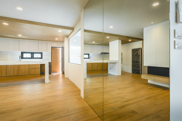 Modern kitchen room. Interior design