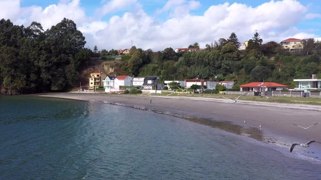 Aerial, pan, drone shot, of birds at a Palomas beach, on a sunny day, Galicia, Spain