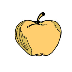 Apple hand drawn