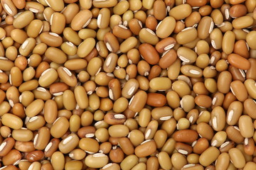 White adzuki bean textures background