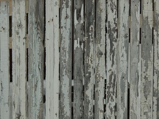 old wooden plank fence with peeling white paint