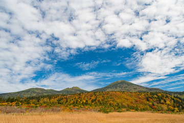 秋の八甲田　大岳　井戸岳