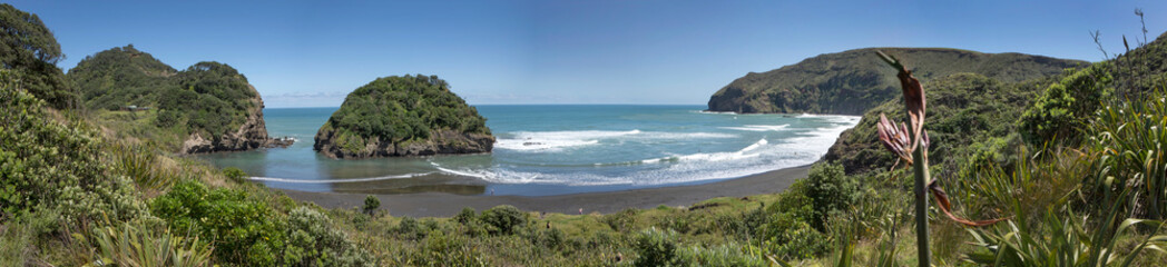 Fototapeta na wymiar Bethells beach Auckland New Zealand Coast and beach. Panorama