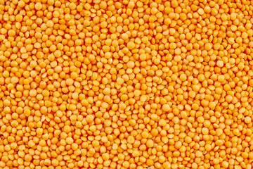 texture of lentil grains closeup