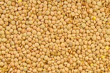 Poster texture of lentil grains closeup © AllFOOD