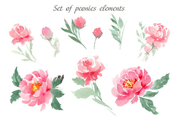 Set of watercolor elements of pink peonies, leaves and buds on an isolated white background. To create bouquets and compositions of cards, invitations, tags and other © Юлия Корниевич