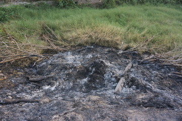 burn near river in the forest